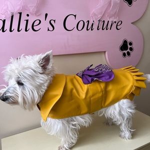 Designer Waterproof Rain Coat. With Decorative Lining.